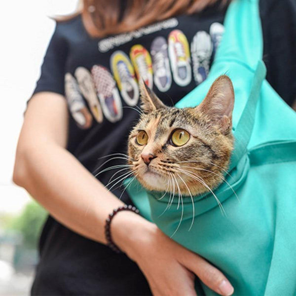 Wholesale Luxury Breathable Pet Handbag Shoulder Tote Folding