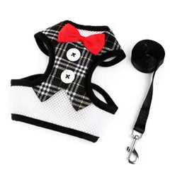 cat vest harness - Cute Cats Store