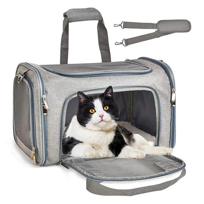 cat carrier - Cute Cats Store