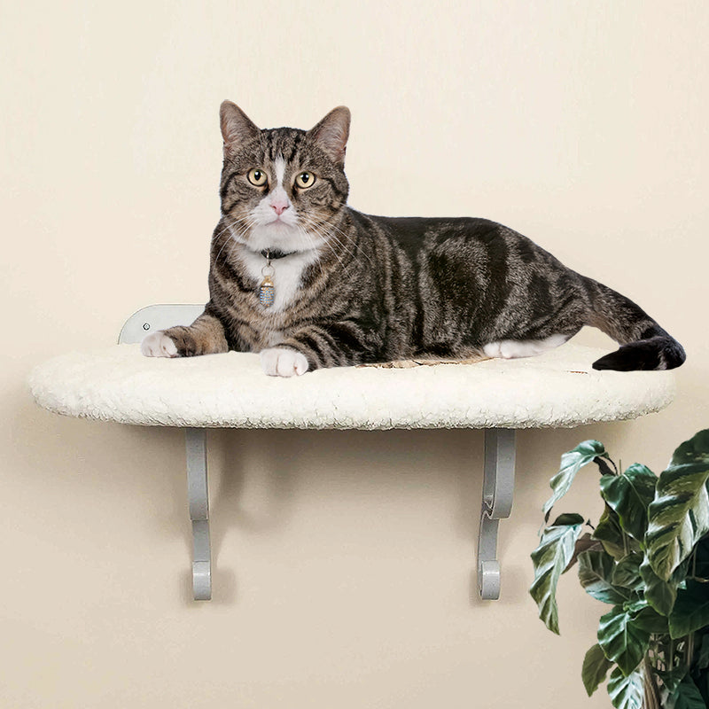 Cat Hanging Bed - Cute Cats Store