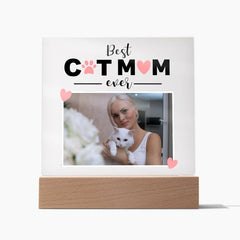 acrylic cat plaques - Cute Cats Store