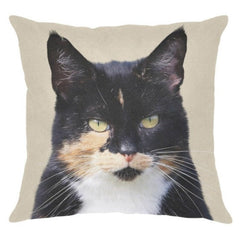 cat pillow cases - Cute Cats Store