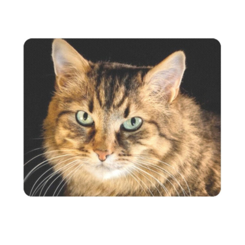 cute tabby mouse pad - Cute Cats Store