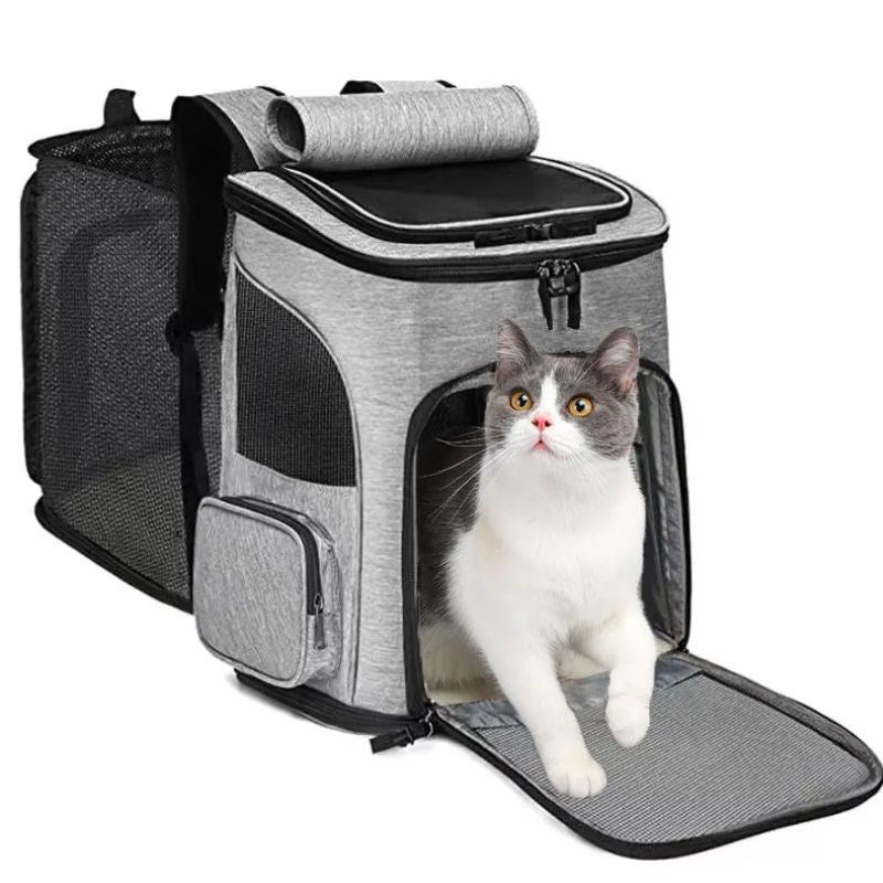 cat backpack - Cute Cats Store