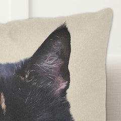 cat throw pillows - Cute Cats Store