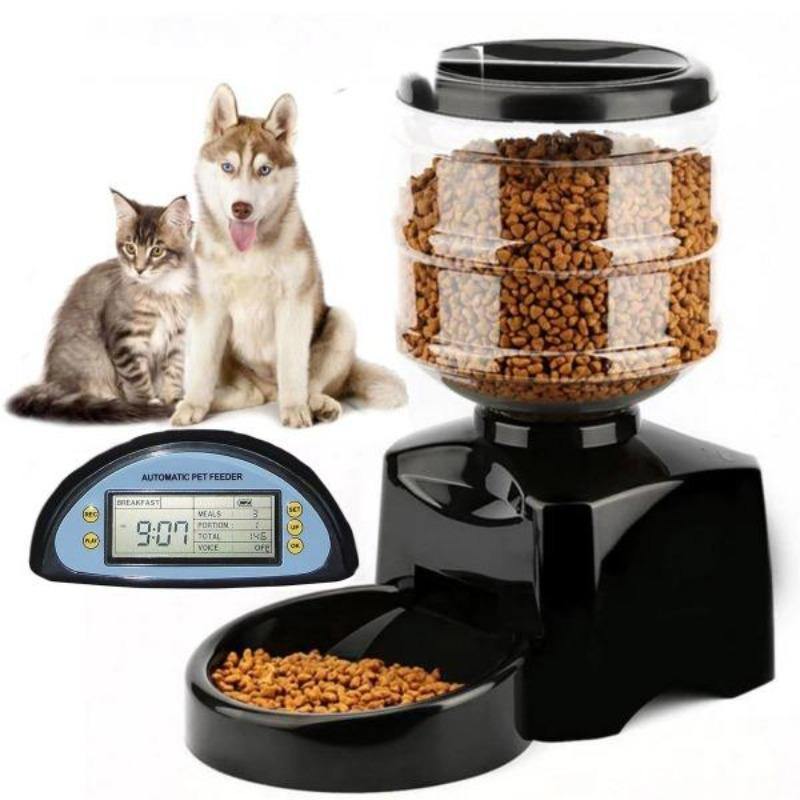 cat feeder - Cute Cats Store