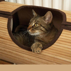 cat bed - Cute Cats Store