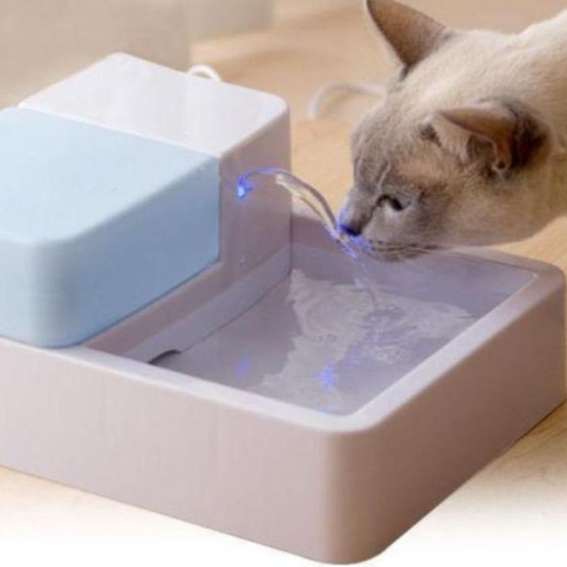 Cat Fountain - Cute Cats Store