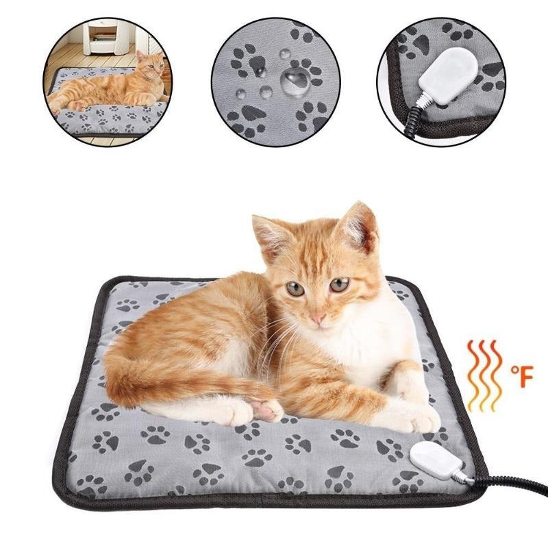 Cat Heating Pad - Cute Cats Store