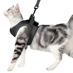 Cat Harness - Cute Cats Store