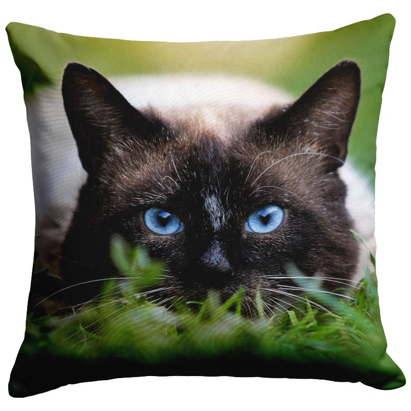 cat pillow case - Cute Cats Store