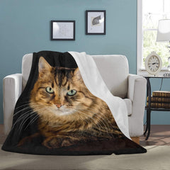 cat lover blanket - Cute Cats Store