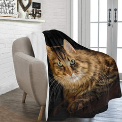 cat lover blankets - Cute Cats Store