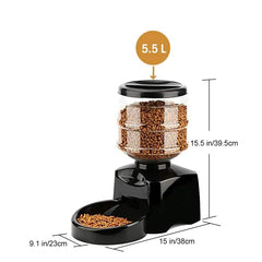 cat meals programmed feeder - Cute Cats Store