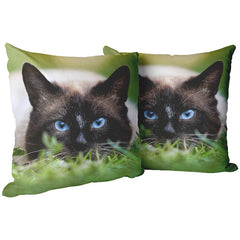 cat pillow cases - Cute Cats Store