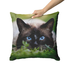 cat pillow covers - Cute Cats Store