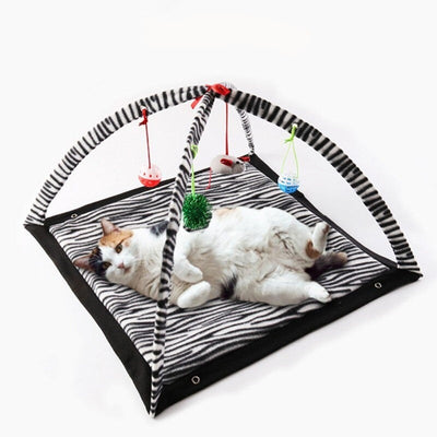 cat activity mat - Cute Cats Store