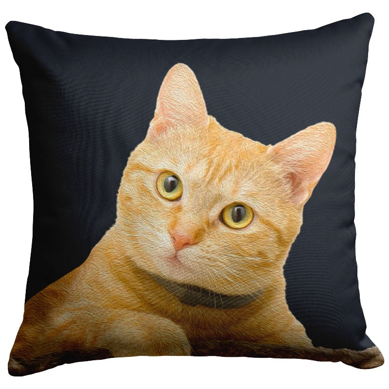 cat pillow case - Cute Cats Store