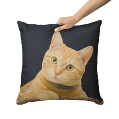 cat pillow cases - Cute Cats Store