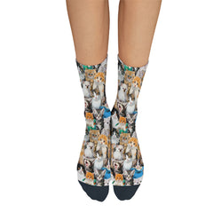 personalized cat socks - Cute Cats Store