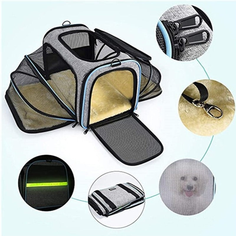 Cat Carrier Expandable Foldable Airline Approved – Cute Cats Store